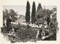 The Garden of Gethsemane